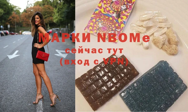 apvp Алзамай