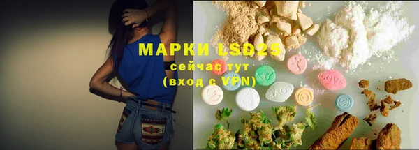 apvp Алзамай