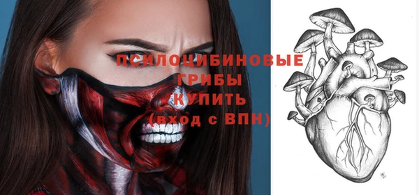 apvp Алзамай